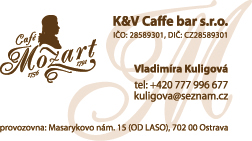 vizitka_mozart.jpg